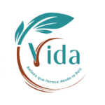 Logo Vida Hair